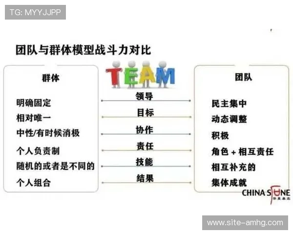 拼搏体育：实现个人突破与团队荣誉的双赢策略